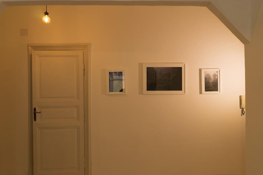Trastevere Corner Eight Gasthof